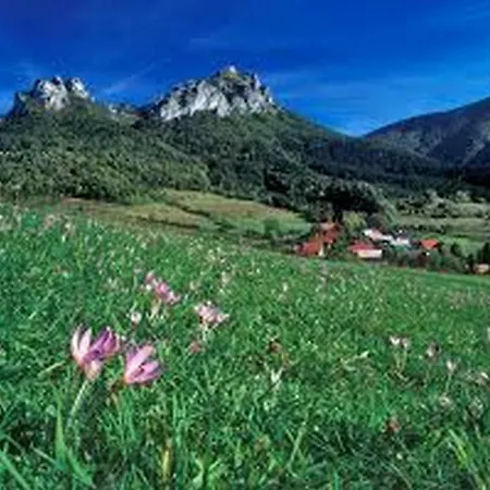 Apartment Apartman Terchova *